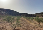 Non-developable land for sale on España, Sorbas, ref: TR419457 photo