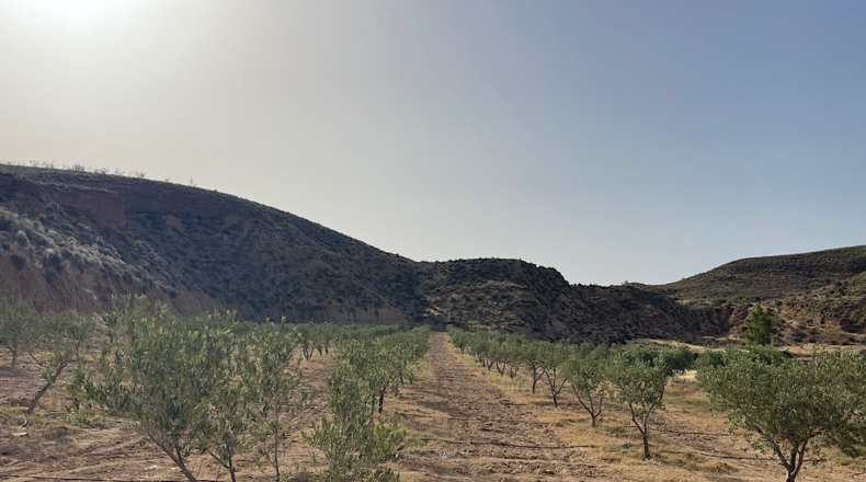Almeria - Sorbas - 100000m2