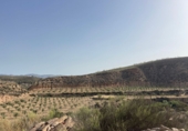 Non-developable land for sale on España, Sorbas, ref: TR419457 photo