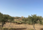 Non-developable land for sale on España, Sorbas, ref: TR419457 photo