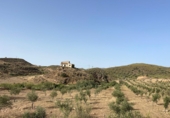 Casa de campo con terreno en venta en Sorbas ref: TR419460 foto