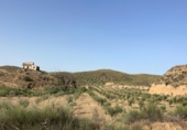 Casa de campo con terreno en venta en Sorbas ref: TR419460 foto