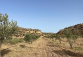 Casa de campo con terreno en venta en Sorbas ref: TR419460 foto