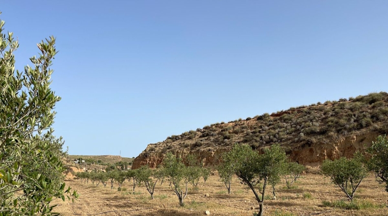 Almeria - Sorbas - 100000m2