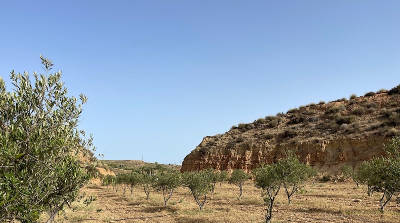 Almeria - Sorbas - 100000m2