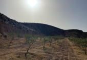 Casa de campo con terreno en venta en Sorbas ref: TR419460 foto