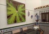 Village house for sale in Arcos de la Frontera ref: TR419468 photo