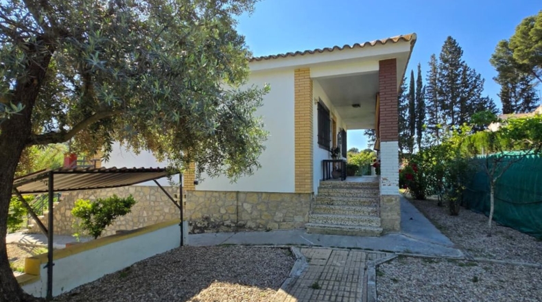 Jaen - Jaén - 800m2