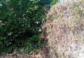 Дом с участком на продажу в городе Noceda Фото