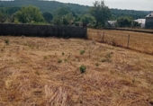 Дом с участком на продажу в городе Noceda Фото
