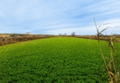 Rural estate for sale in Zuera ref: TR419477 photo