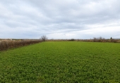 Rural estate for sale in Zuera ref: TR419477 photo