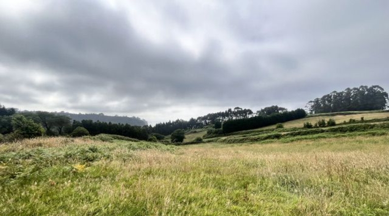 Asturias - Villaviciosa - 4329m2