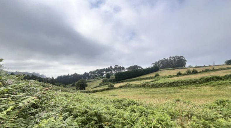 Asturias - Villaviciosa - 4329m2