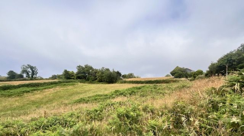 Asturias - Villaviciosa - 4329m2