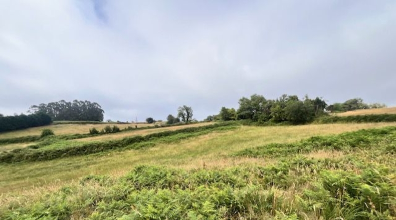 Asturias - Villaviciosa - 4329m2