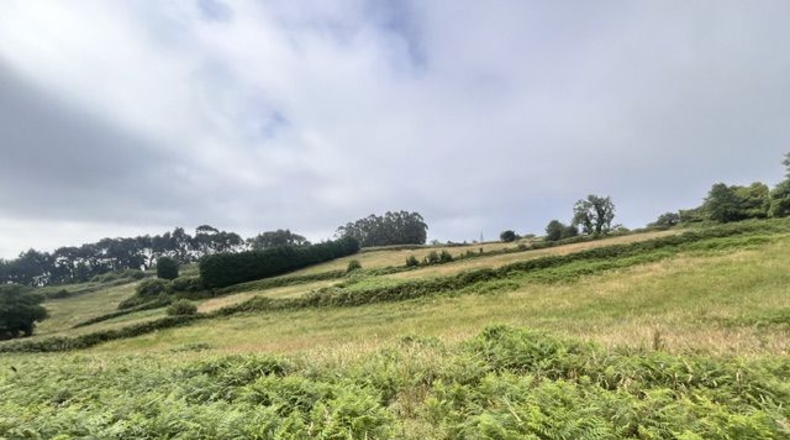 Asturias - Villaviciosa - 4329m2