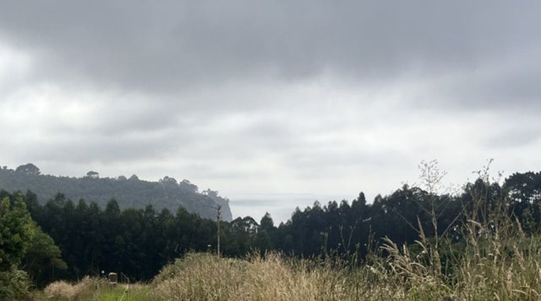 Asturias - Villaviciosa - 4329m2