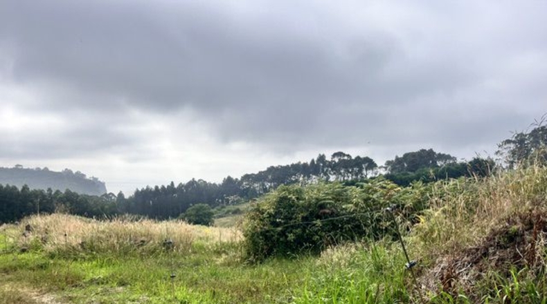 Asturias - Villaviciosa - 4329m2