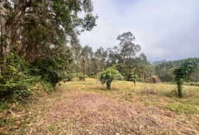 Villaviciosa 6835&nbsp;m²