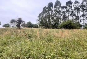 Villaviciosa 6835&nbsp;m²