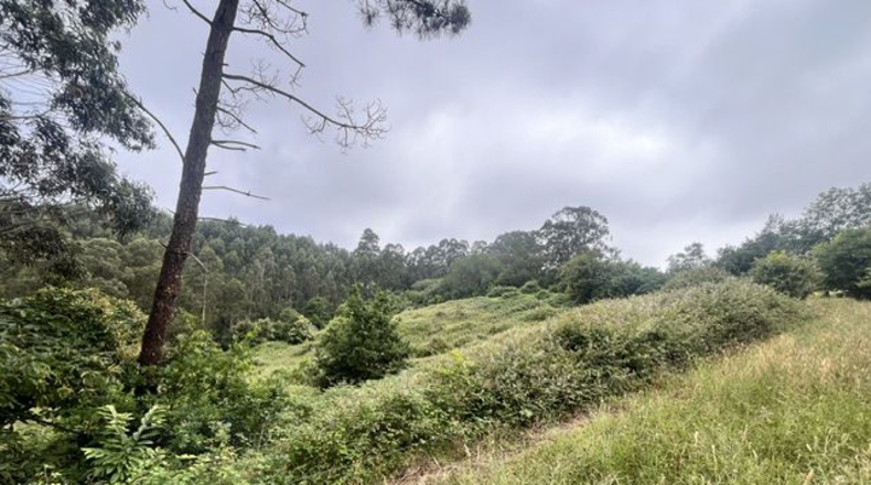 Asturias - Villaviciosa - 6835m2