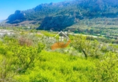 Finca rústica en venda a Vélez-Rubio ref.: TR419480 foto
