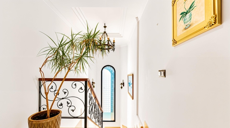 Cádiz - Чиклана-де-ла-Фронтера - 606m2
