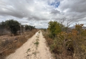 Casa con terreno en venta en la España, Aspe, ref: TR419486 foto