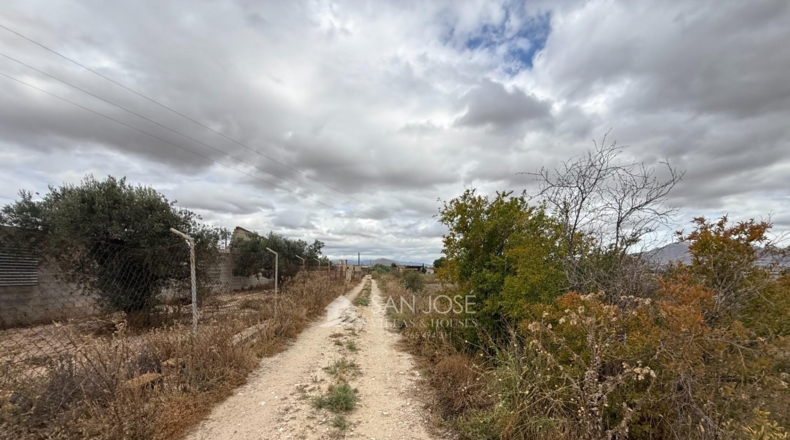 Alicante - Aspe - 45722m2