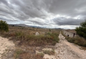 Casa con terreno en venta en la España, Aspe, ref: TR419486 foto