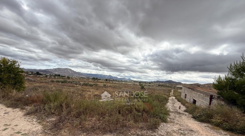 Alicante - Aspe - 45722m2