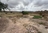 Casa con terreno en venta en la España, Aspe, ref: TR419486 foto