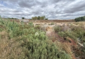Casa con terreno en venta en la España, Aspe, ref: TR419486 foto