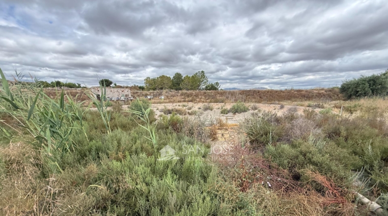 Alicante - Aspe - 45722m2