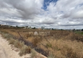 Casa con terreno en venta en la España, Aspe, ref: TR419486 foto