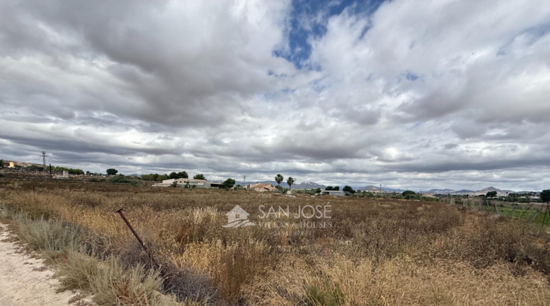 Alicante - Aspe - 45722m2