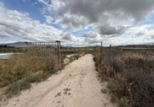 Casa con terreno en venta en la España, Aspe, ref: TR419486 foto