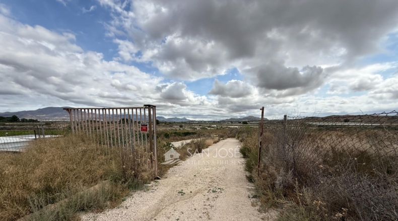 Alicante - Aspe - 45722m2