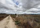 Casa con terreno en venta en la España, Aspe, ref: TR419486 foto