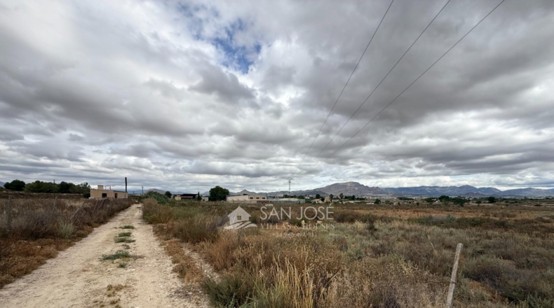 Alicante - Aspe - 45722m2