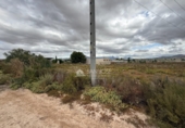 Casa con terreno en venta en la España, Aspe, ref: TR419486 foto