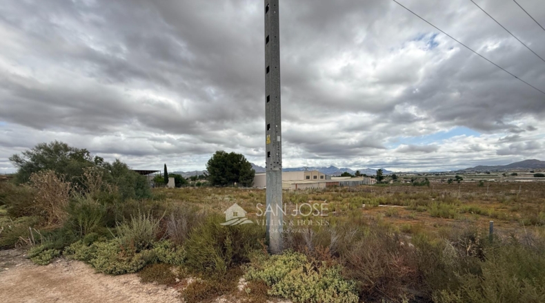 Alicante - Aspe - 45722m2