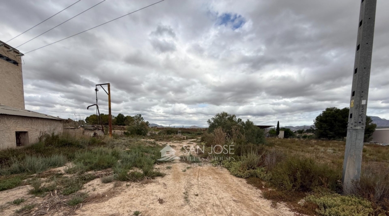 Alicante - Aspe - 45722m2