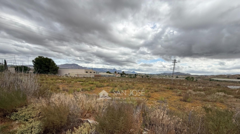 Alicante - Aspe - 45722m2