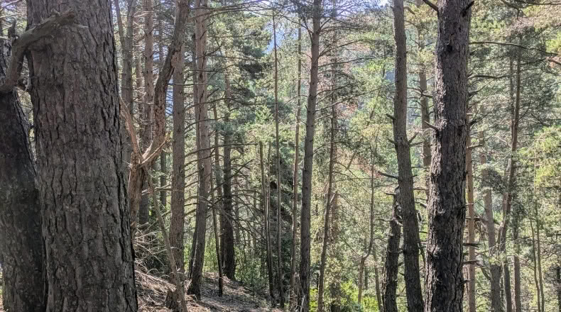 Жирона - Toses - 2088m2