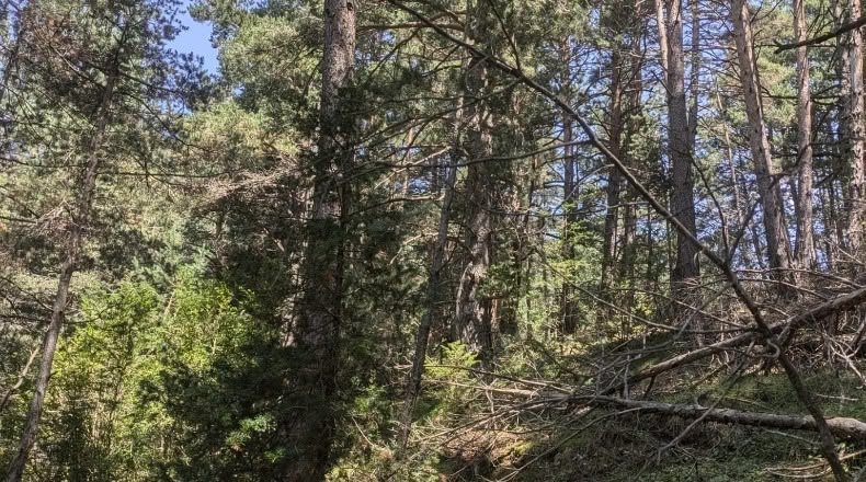 Жирона - Toses - 2088m2