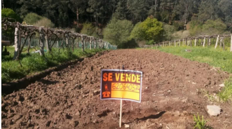 Pontevedra - Vigo - 676m2