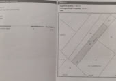 Terreno no urbanizable en venta en la Autopista Zaragoza-Mediterráneo, Nuez de Ebro, ref: TR419495 foto