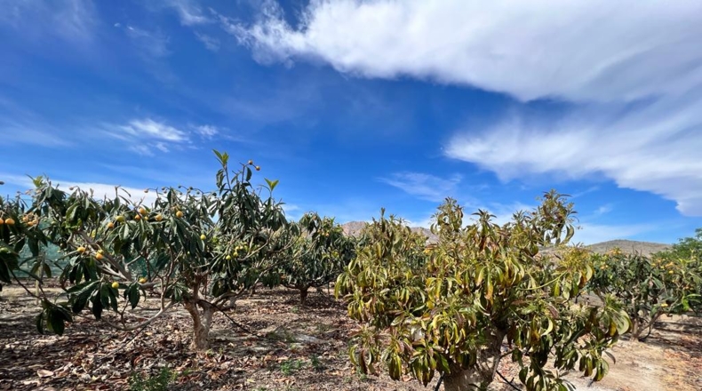 Granada - Salobreña - 190m2